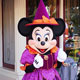 all_minnie_mnsshp.jpg