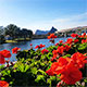 ep_garden_red_flower.jpg